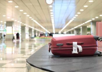 Interceptaron maleta con al menos seis caracoles africanos prohibidos en EEUU