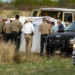 Hallan a migrantes sofocándose en tren al sur de Texas
