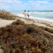 Inmensa masa de algas invade playas de Florida