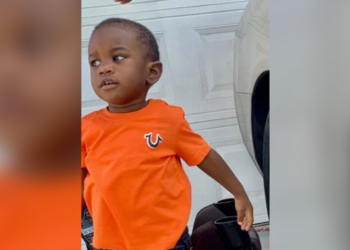 Niño hallado en la boca de un caimán en Florida fue llevado al lago por su padre