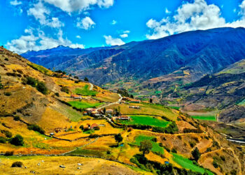 El Sueño Venezolano SÍ existe!, por Vincenzo Alaimo