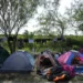 Estados Unidos espera que app de citas para asilo traiga orden a su frontera sur