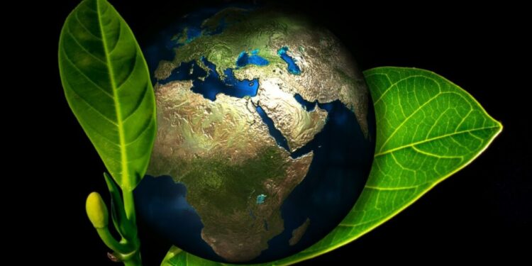 Diane Wilson: El poder del activismo ambiental