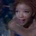 Conozca la historia detrás del peinado de Halle Bailey que costó 150.000 dólares