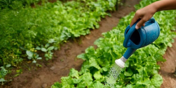 Un tercio de la agricultura está en zonas de prioridad para conservar la biodiversidad