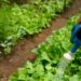 Un tercio de la agricultura está en zonas de prioridad para conservar la biodiversidad