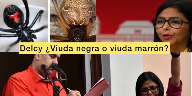 Delcy, ¿Una viuda negra o marrón? Por Angel Monagas
