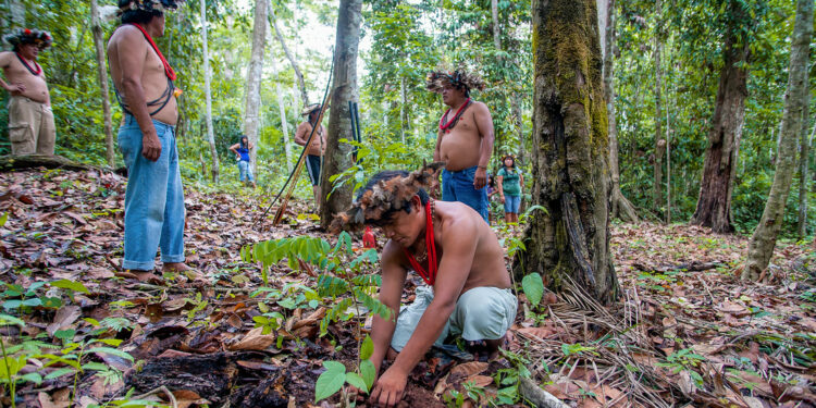 Lula lanzará un programa social para la conservación de la Amazonía