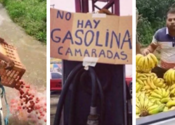 Ruina y terror en el campo, por Cesar Pérez Vivas