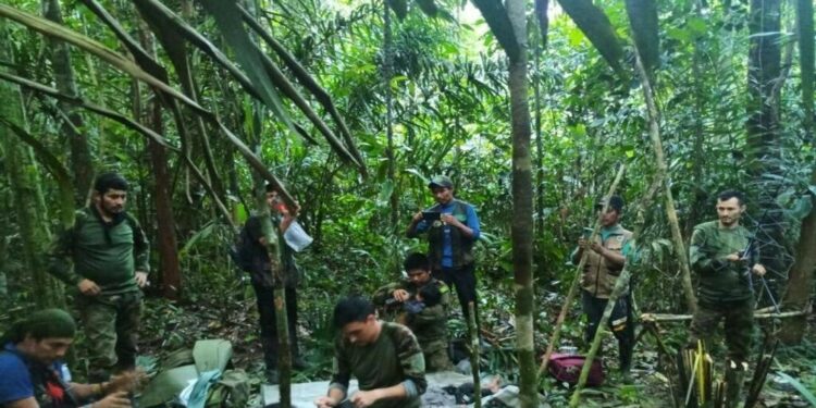 Encuentran con vida a los 4 niños que se habían perdido en la selva en Colombia