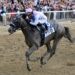 El venezolano Javier Castellano hizo historia al ganar el Belmont Stakes