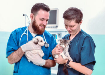 20 mascotas se someterán a un tratamiento experimental contra el cáncer en un reactor nuclear