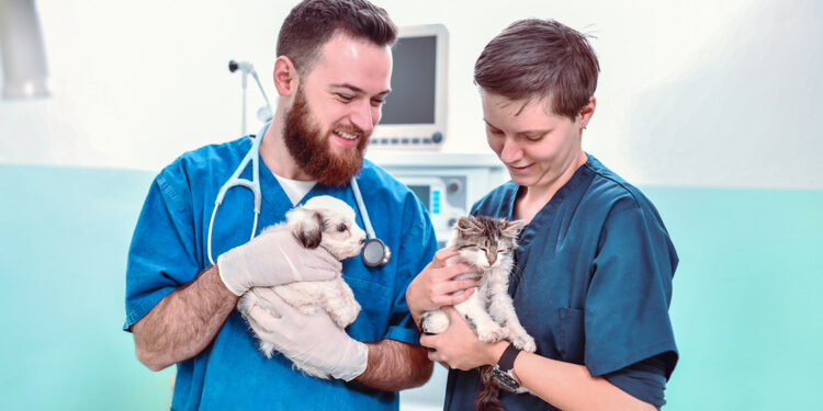 20 mascotas se someterán a un tratamiento experimental contra el cáncer en un reactor nuclear