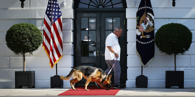 Casa Blanca explica el por qué de los ataques del perro de Biden a miembros del Servicio Secreto