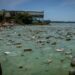 Anuncian plan especial para descontaminar el Lago de Maracaibo