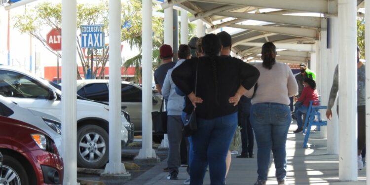 Caos en Pembroke Pines por enormes filas para sacar licencias