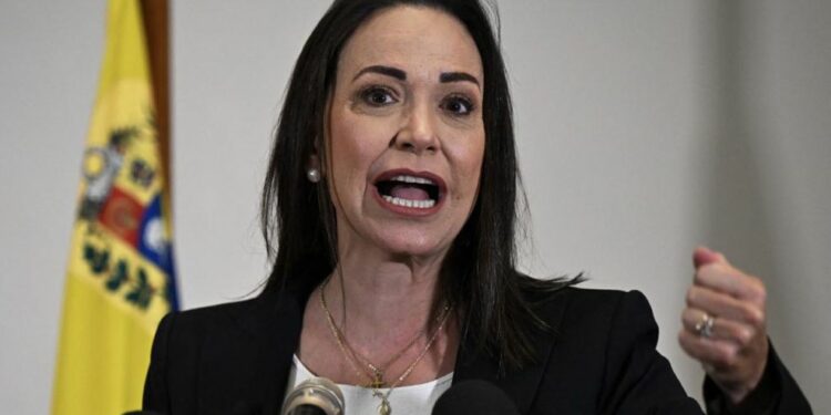 INHABILITADA, HABILITADORA, por Mitzy Capriles de Ledezma