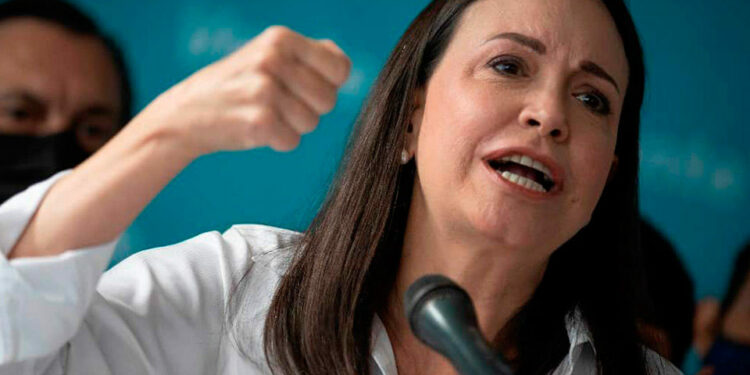 Luchando por todos, por Mitzy Capriles de Ledezma