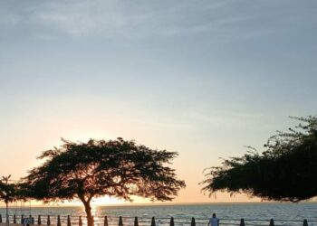 La gratitud, por León Magno Montiel