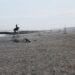 Cierran icónica playa de Nueva York tras el ataque de un tiburón