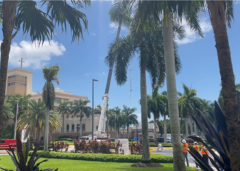 Desplome de una grúa en Coconut Grove deja un muerto y cuatro heridos