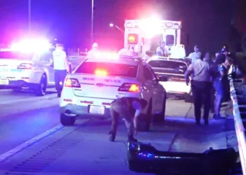 Tres heridos tras tiroteo en carreras de autos ilegales en Miami