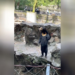 Zoológico chino niega que sus osos sean personas disfrazadas