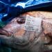 Exportaciones japonesas de mariscos a China se desploman tras el vertido de agua de Fukushima