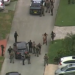 Persecución policial en Miami-Dade culminó con un muerto y dos detenidos