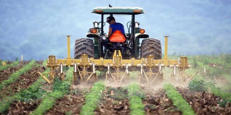 Productores agrícolas de Venezuela alertan de una caída «desproporcionada» de sus ingresos