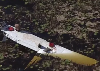 Avioneta se estrella en los Everglades en Broward