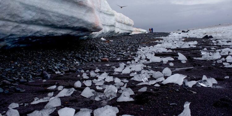 Más del 40 % de las plataformas de hielo de la Antártida se redujeron
