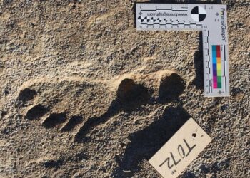 Huellas antiguas derriban las teorías sobre cuándo y cómo se pobló América