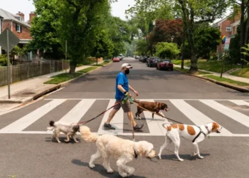 OMS advierte de que «muchos niños» están en peligro en Gaza y alerta de riesgos de epidemias