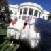 Biden celebra su cumpleaños con tradición de perdonar a los pavos de Acción de Gracias