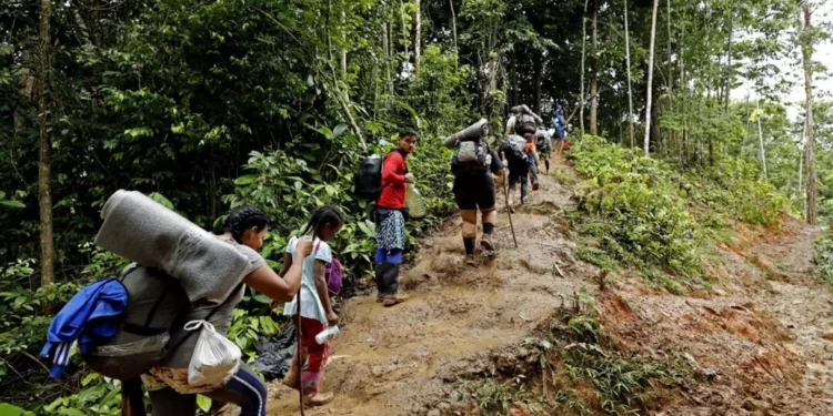 Casi 400 casos de violencia sexual han sido atendidos en el Darién durante 2023