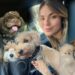 Joven emprendedora venezolana revela la clave del éxito de Kisses And Paws Board & Care, guardería y hotel canino