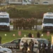 Hamas libera al primer grupo de rehenes en Gaza durante tregua de cuatro días