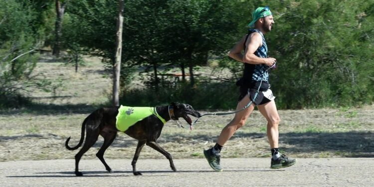 ¿Es mejor hacer deporte por la mañana o por la tarde? La ciencia ya tiene respuestas