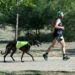 ¿Es mejor hacer deporte por la mañana o por la tarde? La ciencia ya tiene respuestas
