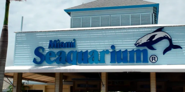 Miami Seaquarium podría cerrar sus puertas
