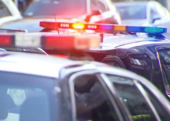 Niño de 5 años habría matado a su hermano gemelo a puñaladas en California