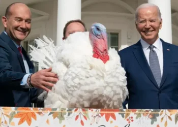 Pavos recibieron indulto del presidente Joe Biden por Acción de Gracias