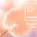 Pantone desvela el color del año 2024