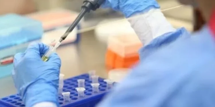 Identificado primer caso de la variante de covid-19 conocida como Pirola