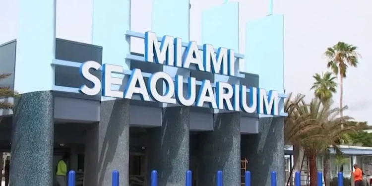 Venció el plazo para que el Acuario de Miami para solucionar los problemas en su instalación