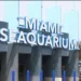 Venció el plazo para que el Acuario de Miami para solucionar los problemas en su instalación