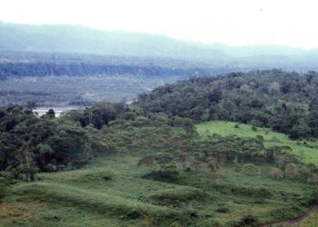 Mapeo láser revela ciudades amazónicas que existieron cientos de años antes que los incas