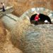 Descubren una antigua necrópolis con cientos de piezas arqueológicas en China
