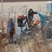 Autoridades de Texas empiezan a detener migrantes ilegales tras tomar el control de frontera